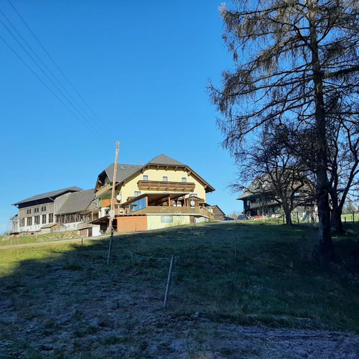 Almgasthof Spitzer Sankt Stefan ob Leoben Luaran gambar